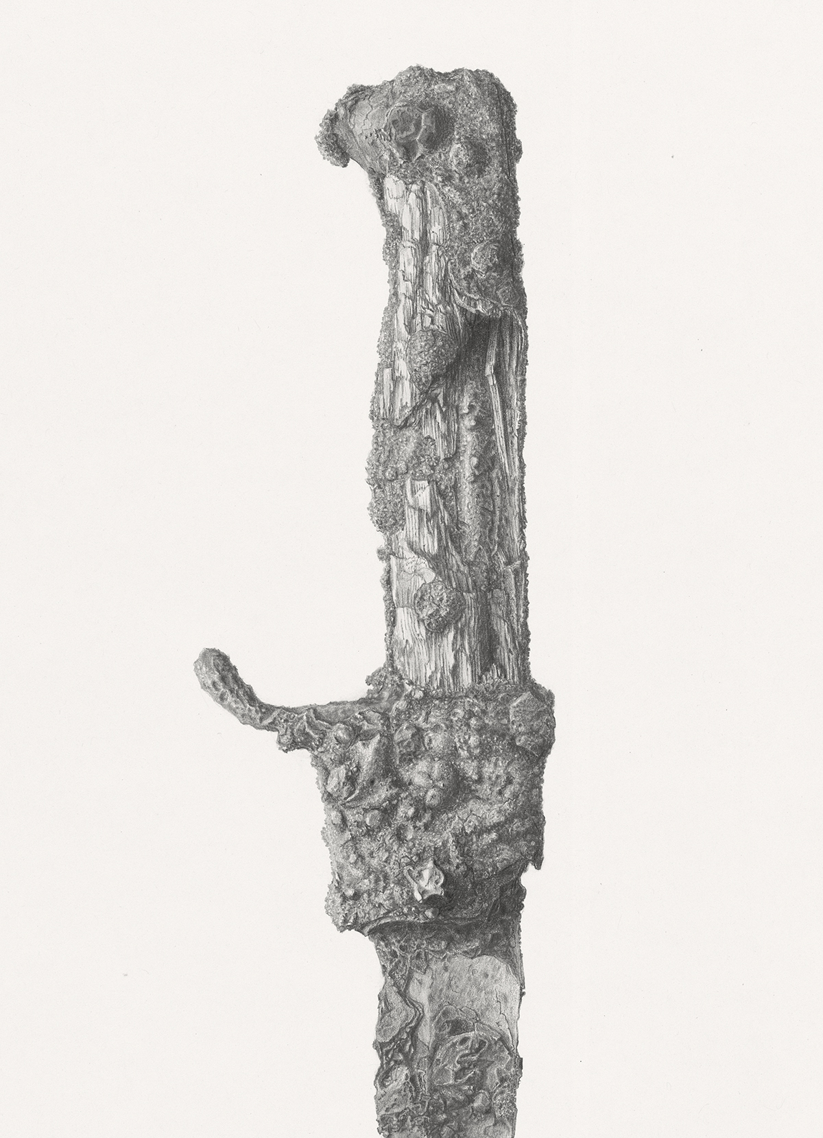 o.T. (Detail) / Bleistift auf Papier (pencil on paper) / 61 x 86 cm / 2013