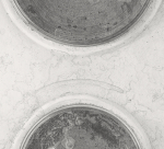 o.T. (Detail) / Bleistift auf Papier (pencil on paper) / 61 x 86 cm / 2013